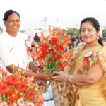 Mass Image Compressor Compressed this image. https://sourceforge.net/projects/icompress/